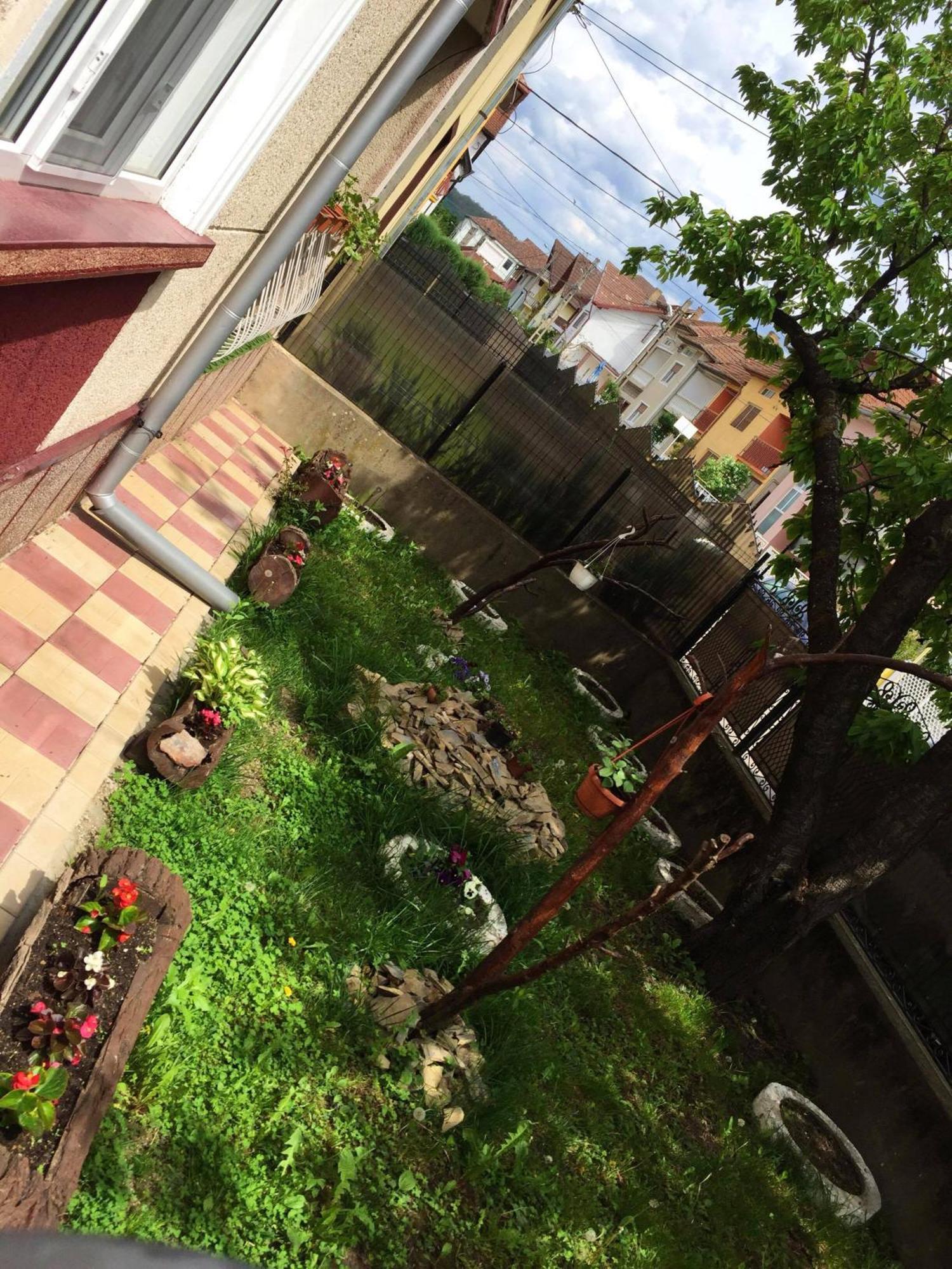 Casa Mary Hotel Hateg Bagian luar foto