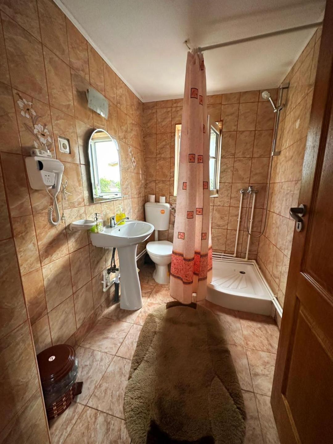 Casa Mary Hotel Hateg Bagian luar foto