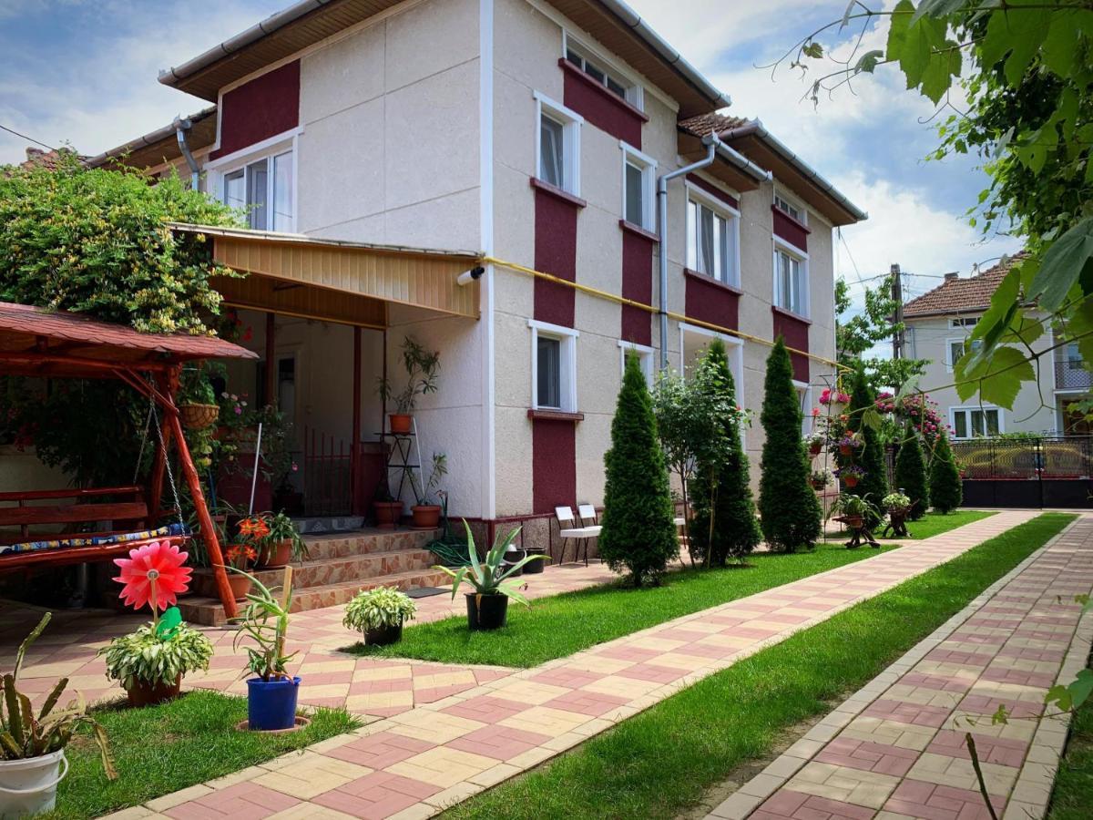 Casa Mary Hotel Hateg Bagian luar foto
