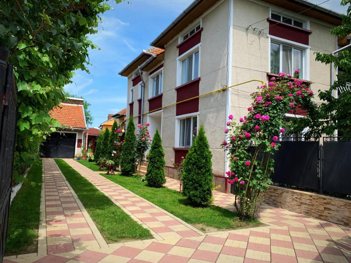 Casa Mary Hotel Hateg Bagian luar foto