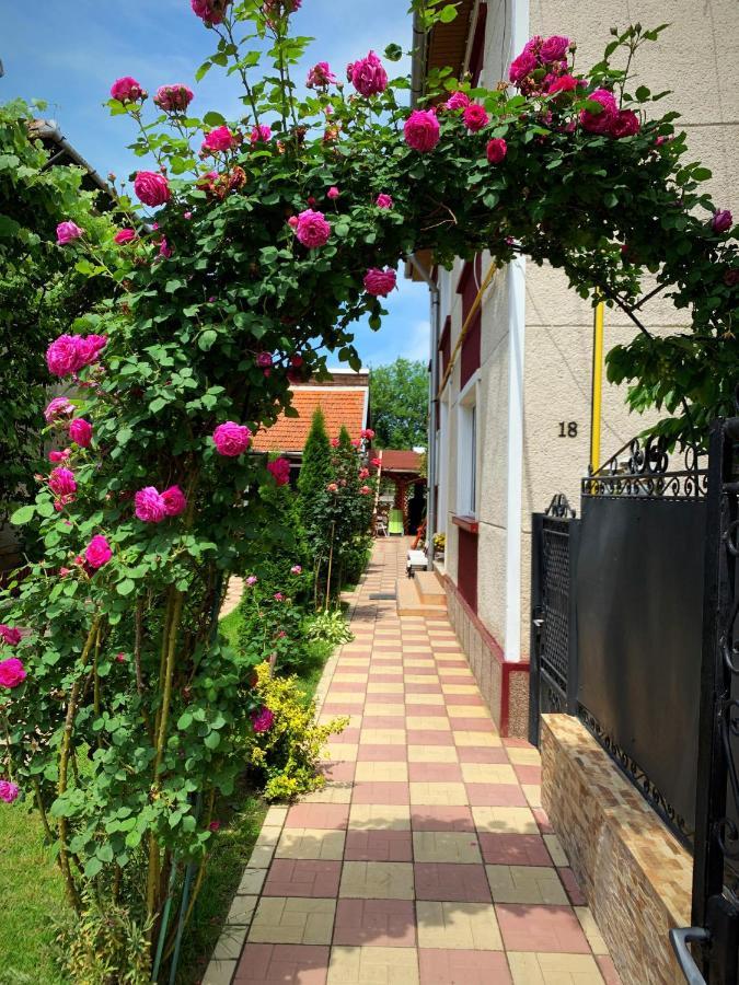 Casa Mary Hotel Hateg Bagian luar foto