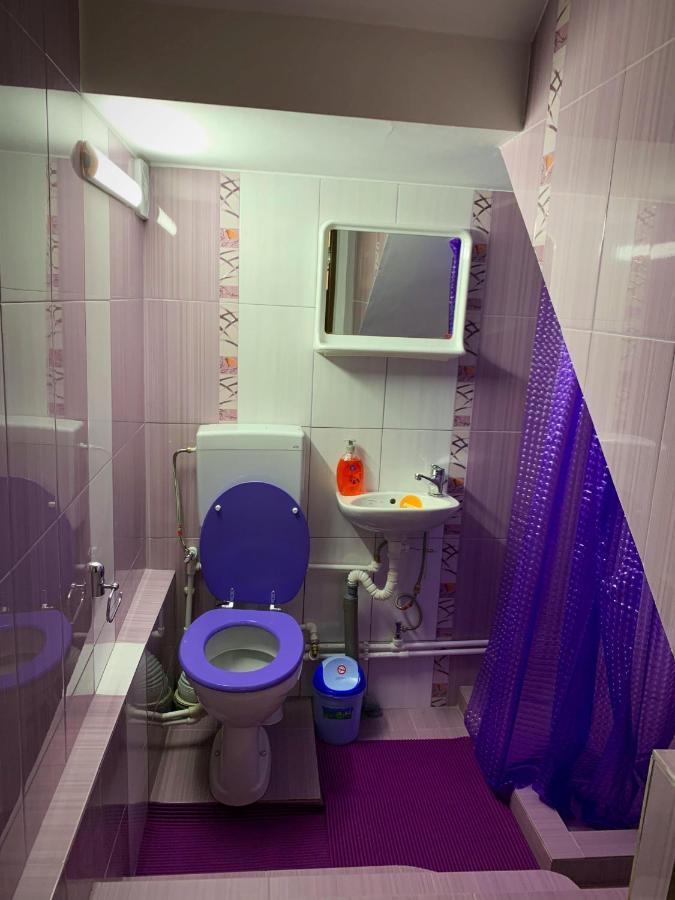 Casa Mary Hotel Hateg Bagian luar foto